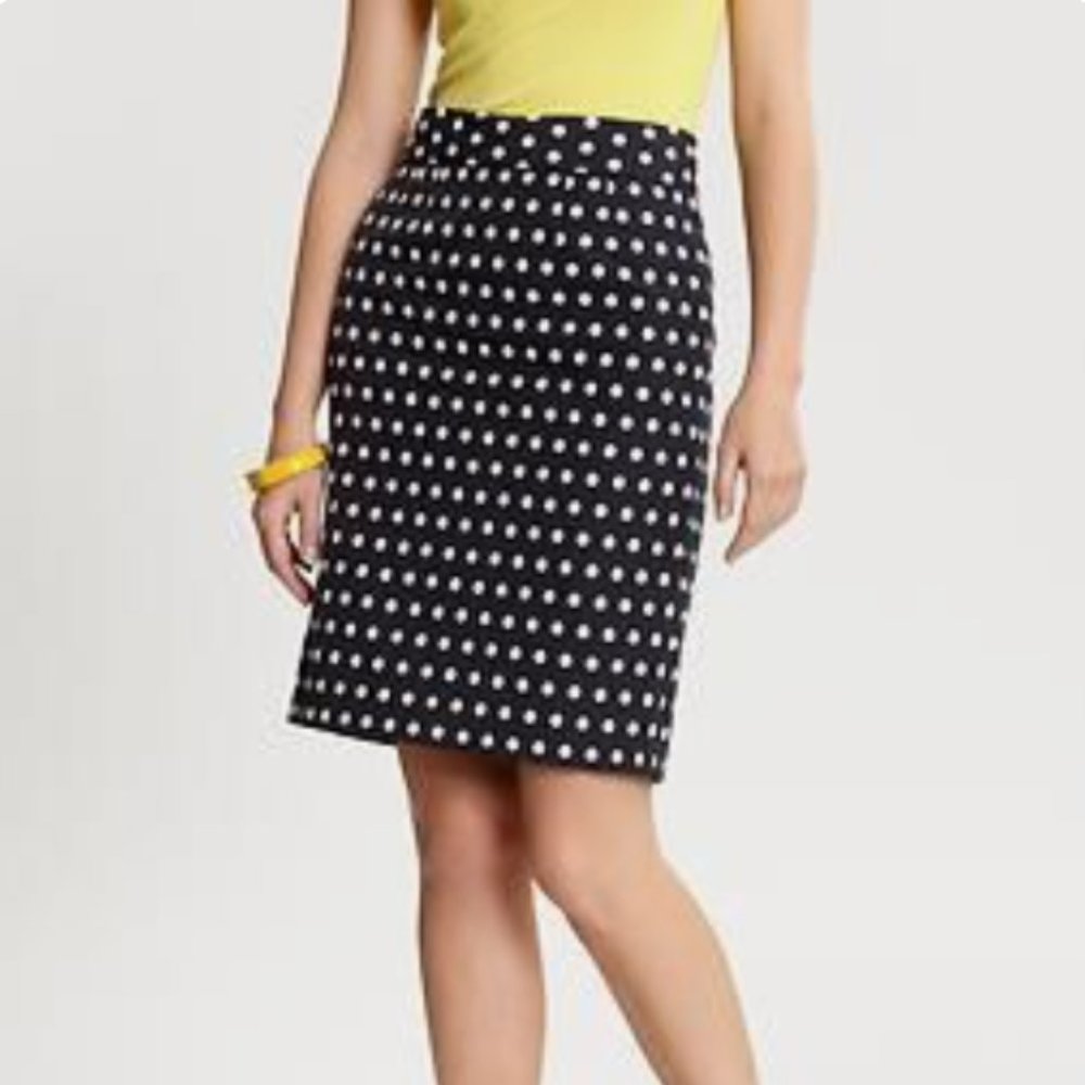 Dark navy polka dot skirt